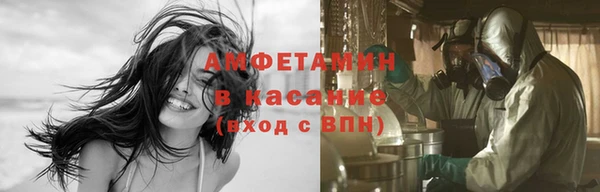 прущие грибы Пересвет