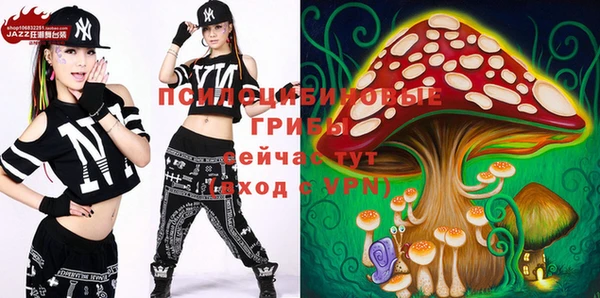 прущие грибы Пересвет