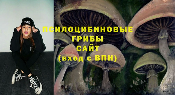 марки lsd Абаза