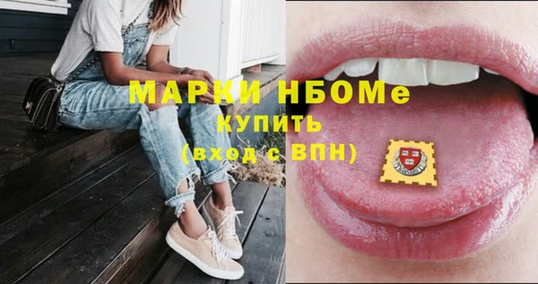 прущие грибы Пересвет