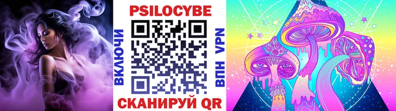 Псилоцибиновые грибы MAGIC MUSHROOMS  как найти закладки  Духовщина 