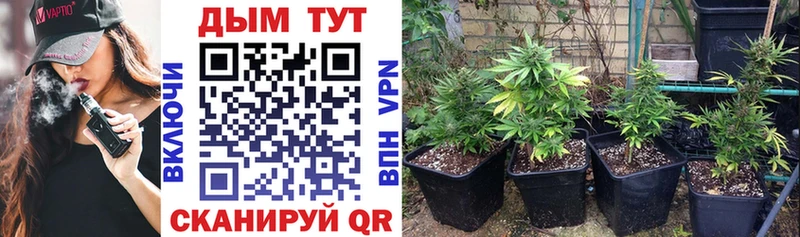 blacksprut ссылки  сколько стоит  Духовщина  Бошки марихуана гибрид 